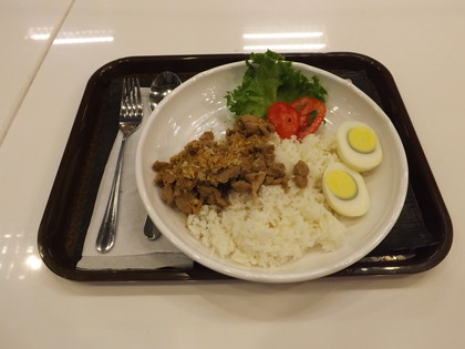 豚のガーリック揚げご飯